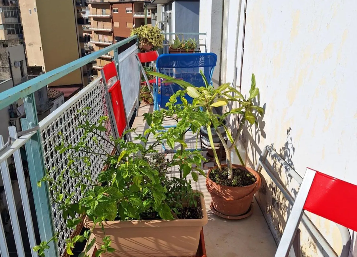 Camera Al Borgo In Centro Κατάνια Ιταλία